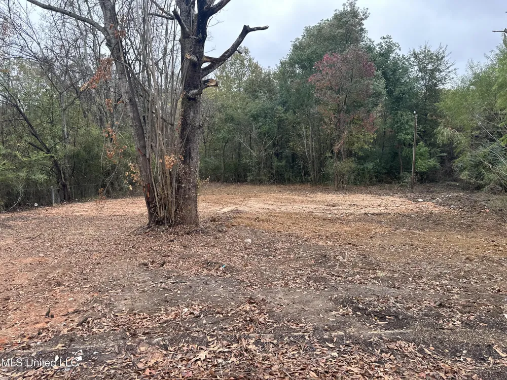250 Queen Anne Lane Jackson, MS 39209