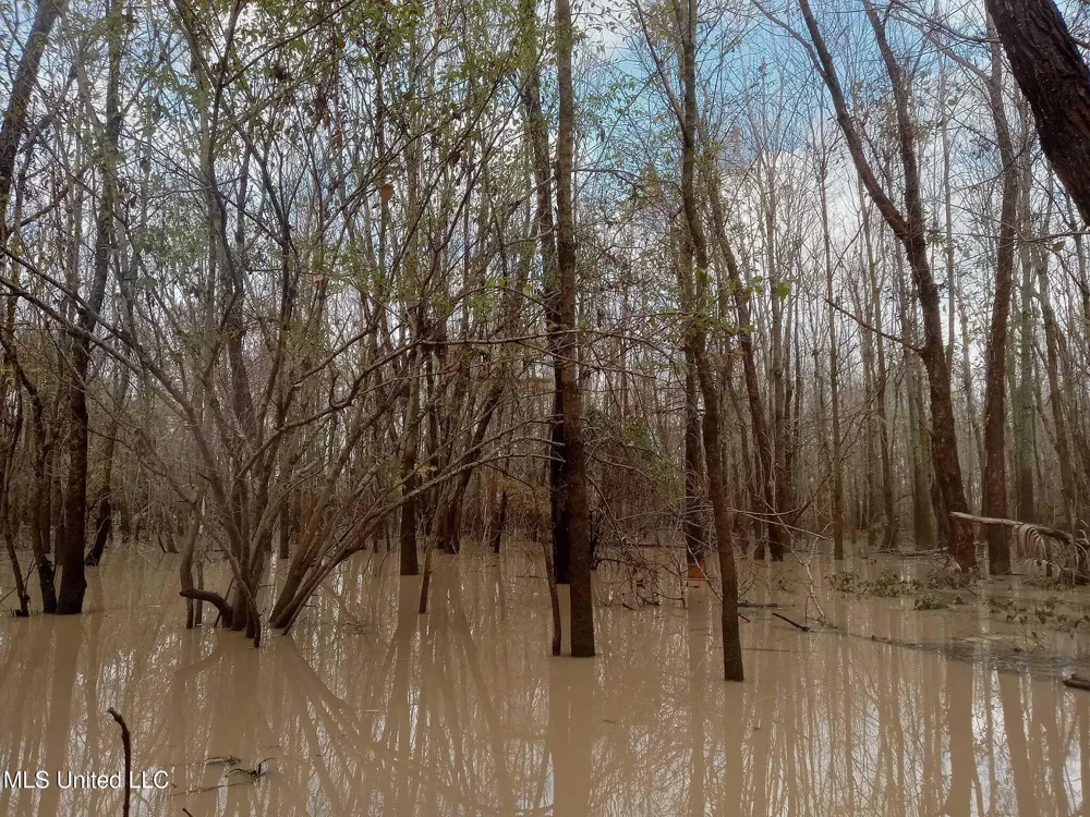 237 King Williams Road Indianola, MS 38751