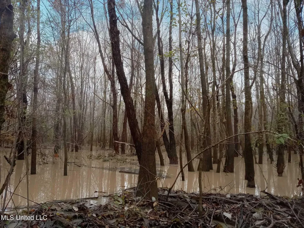 237 King Williams Road Indianola, MS 38751