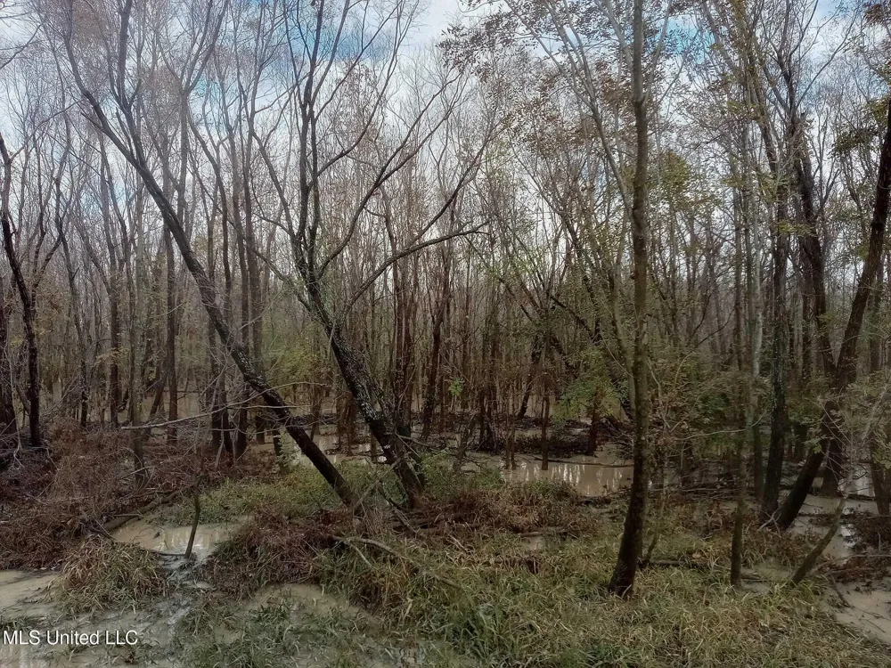 237 King Williams Road Indianola, MS 38751
