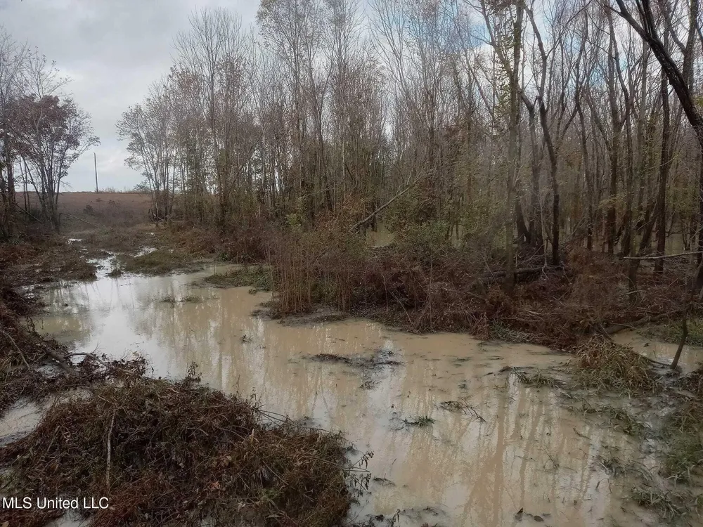 237 King Williams Road Indianola, MS 38751