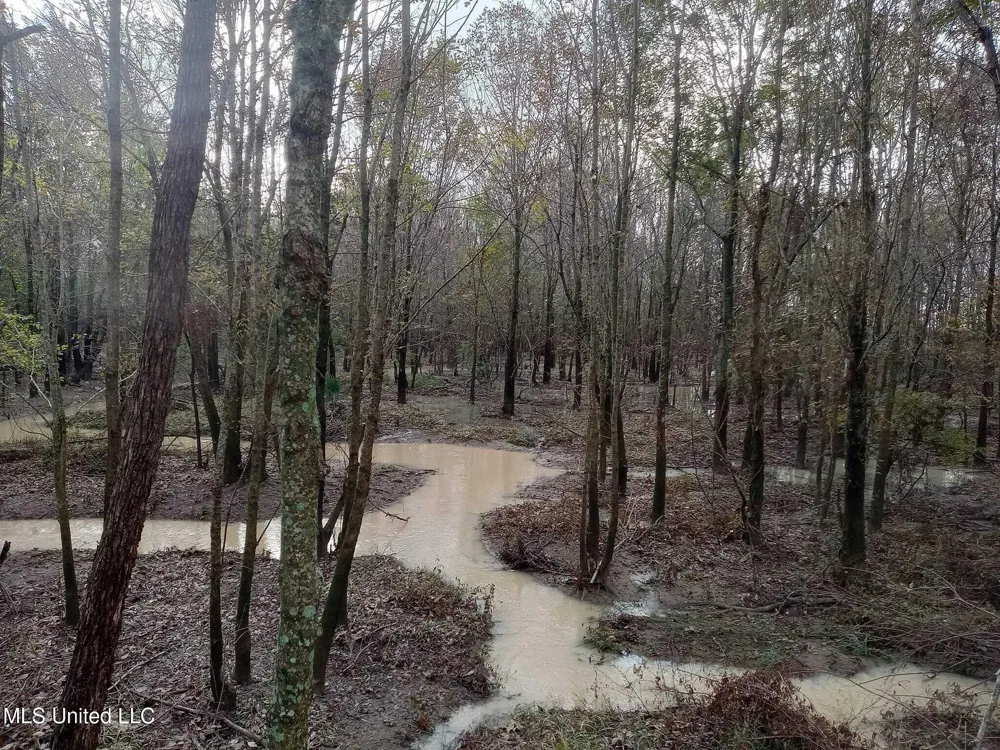 237 King Williams Road Indianola, MS 38751