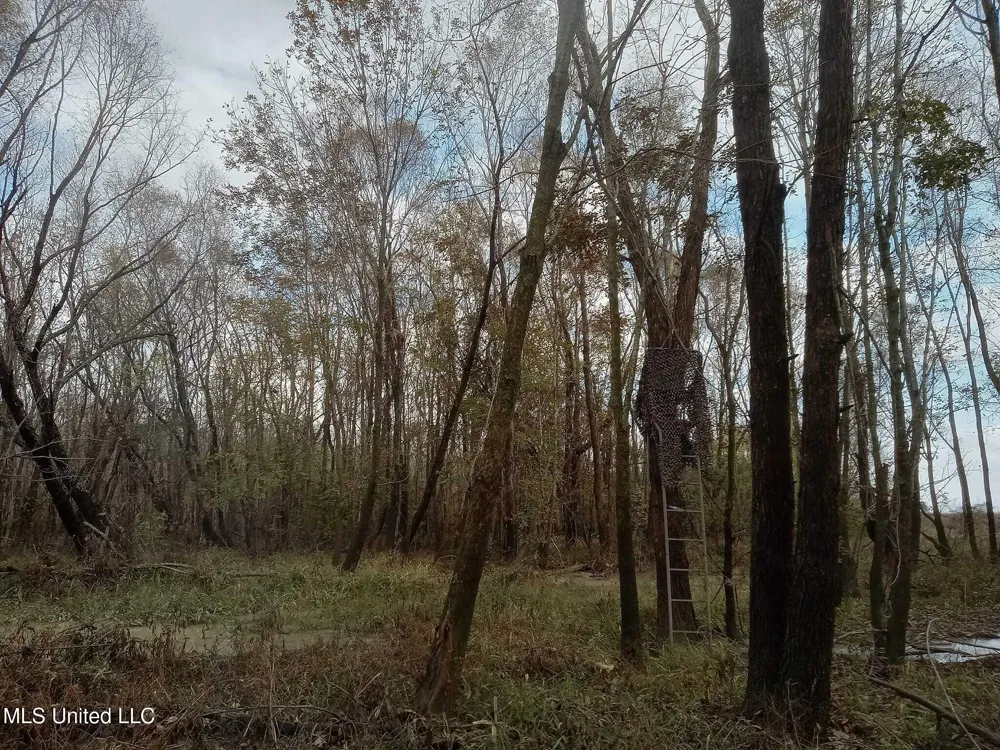 237 King Williams Road Indianola, MS 38751
