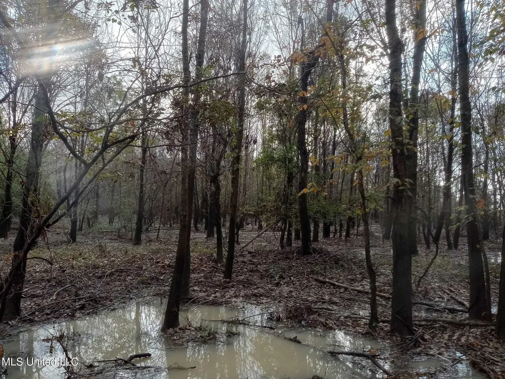 237 King Williams Road Indianola, MS 38751