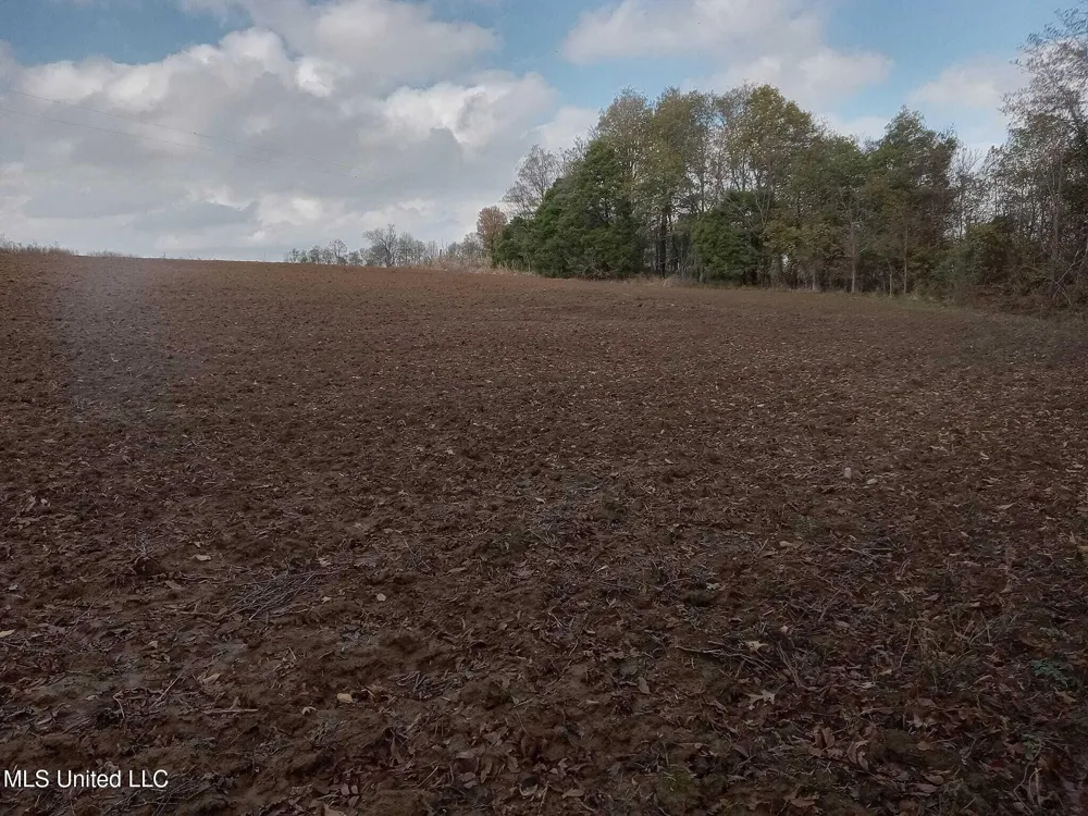 237 King Williams Road Indianola, MS 38751