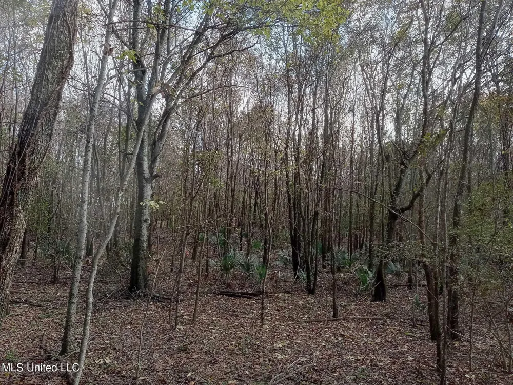 237 King Williams Road Indianola, MS 38751