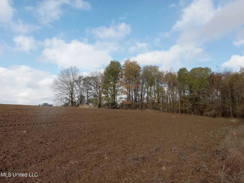 237 King Williams Road Indianola, MS 38751