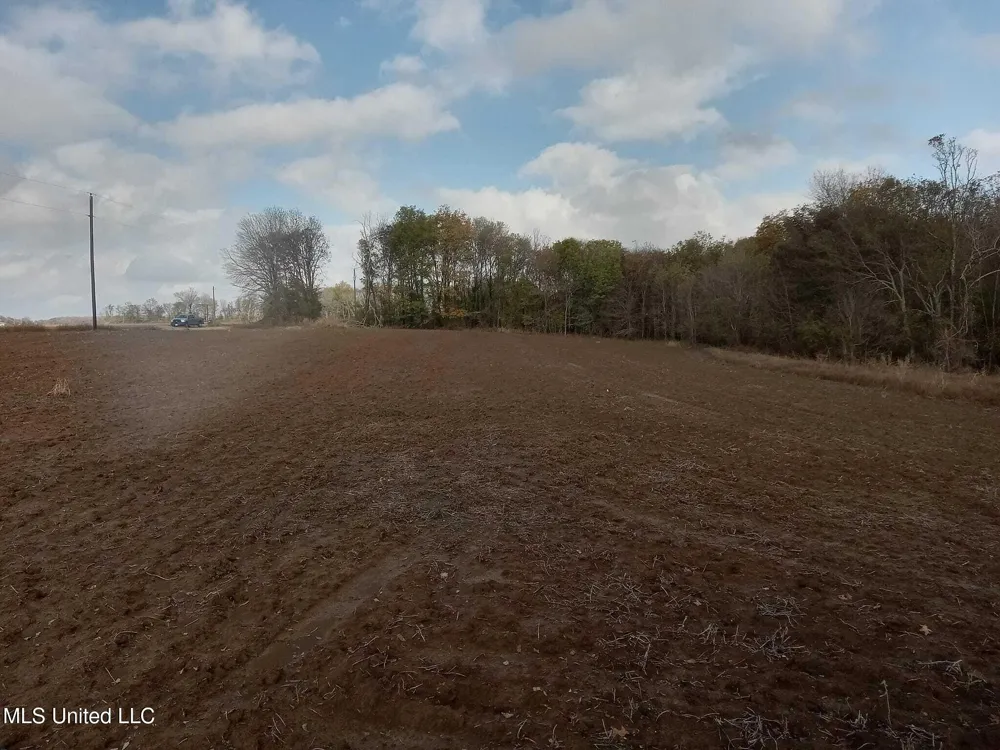 237 King Williams Road Indianola, MS 38751