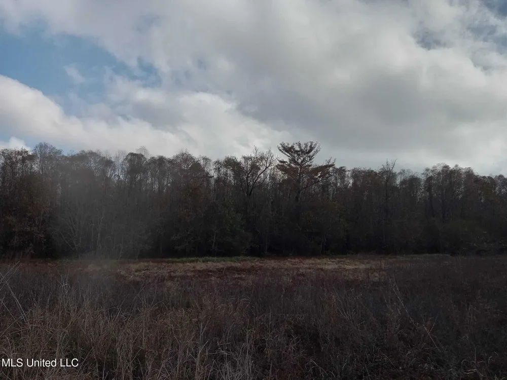 237 King Williams Road Indianola, MS 38751
