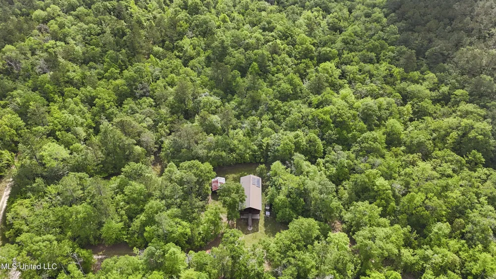 377a Deep Creek Road Wiggins, MS 39577