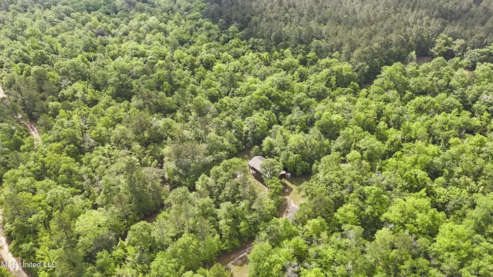 377a Deep Creek Road Wiggins, MS 39577