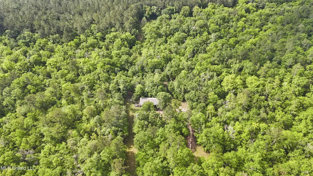 377a Deep Creek Road Wiggins, MS 39577