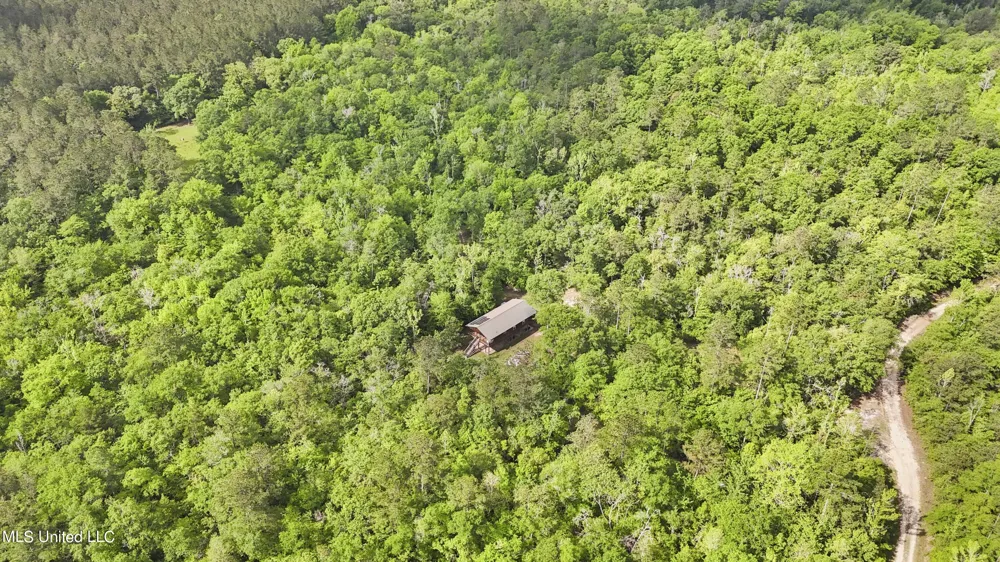 377a Deep Creek Road Wiggins, MS 39577