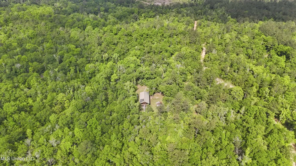 377a Deep Creek Road Wiggins, MS 39577