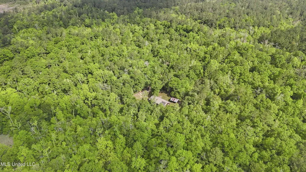 377a Deep Creek Road Wiggins, MS 39577