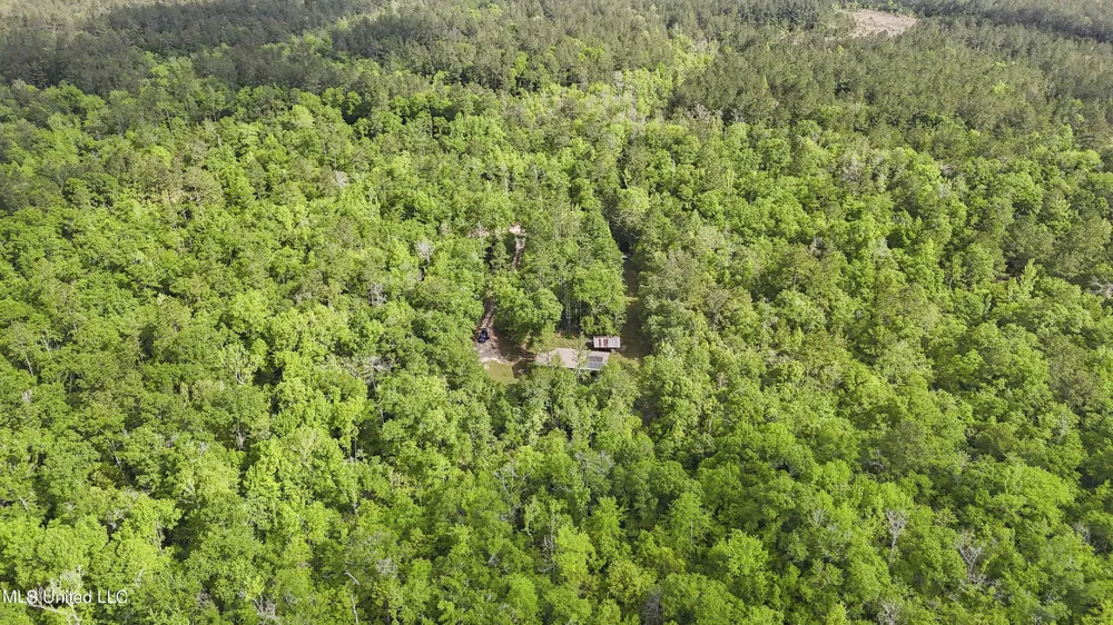 377a Deep Creek Road Wiggins, MS 39577