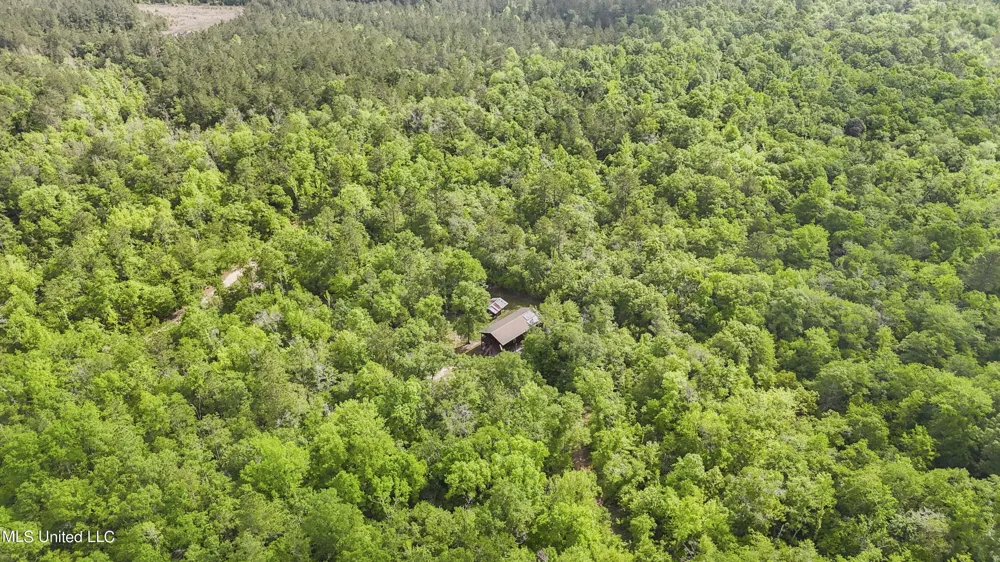 377a Deep Creek Road Wiggins, MS 39577