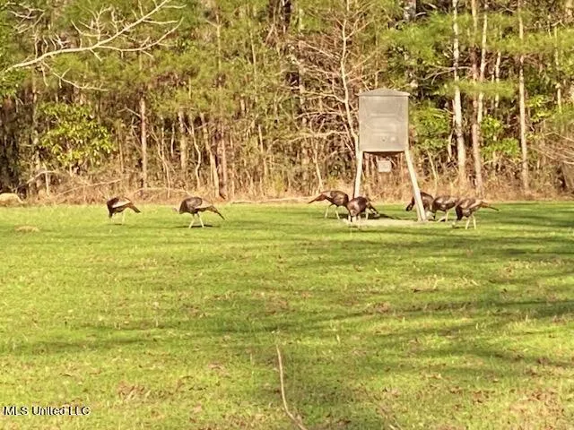 377a Deep Creek Road Wiggins, MS 39577