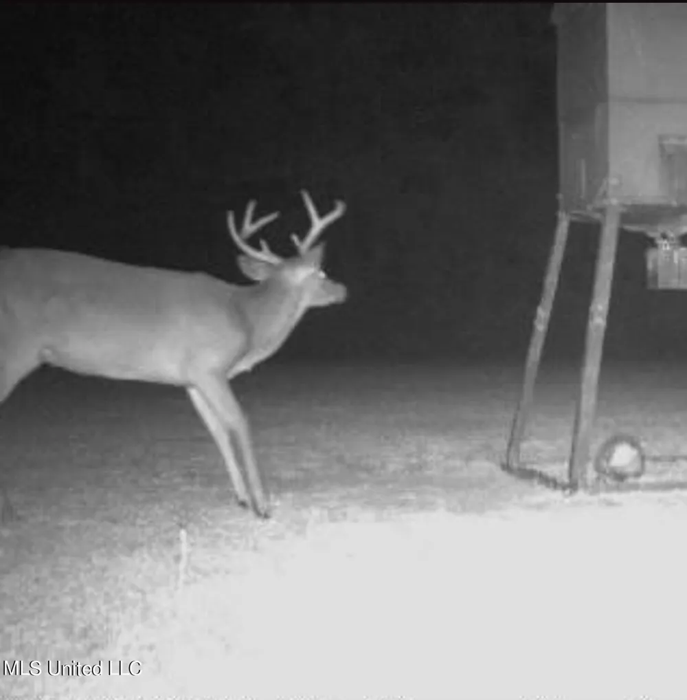 377a Deep Creek Road Wiggins, MS 39577