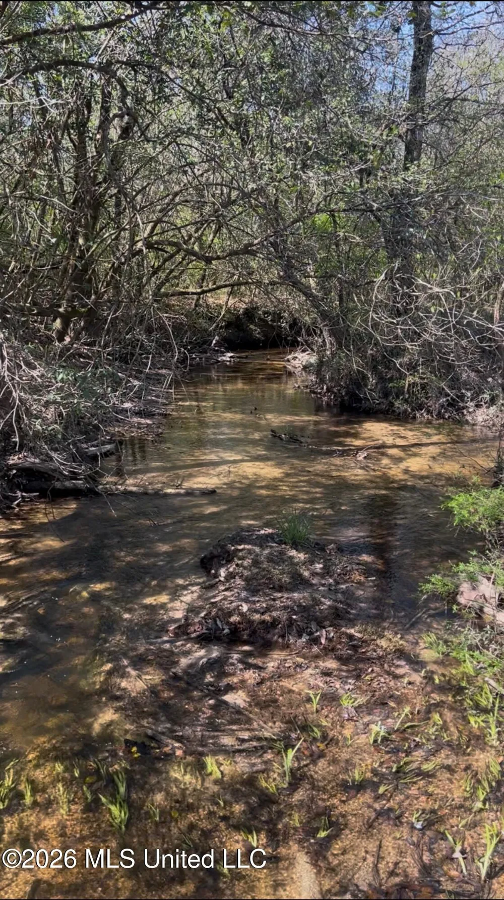 377a Deep Creek Road Wiggins, MS 39577