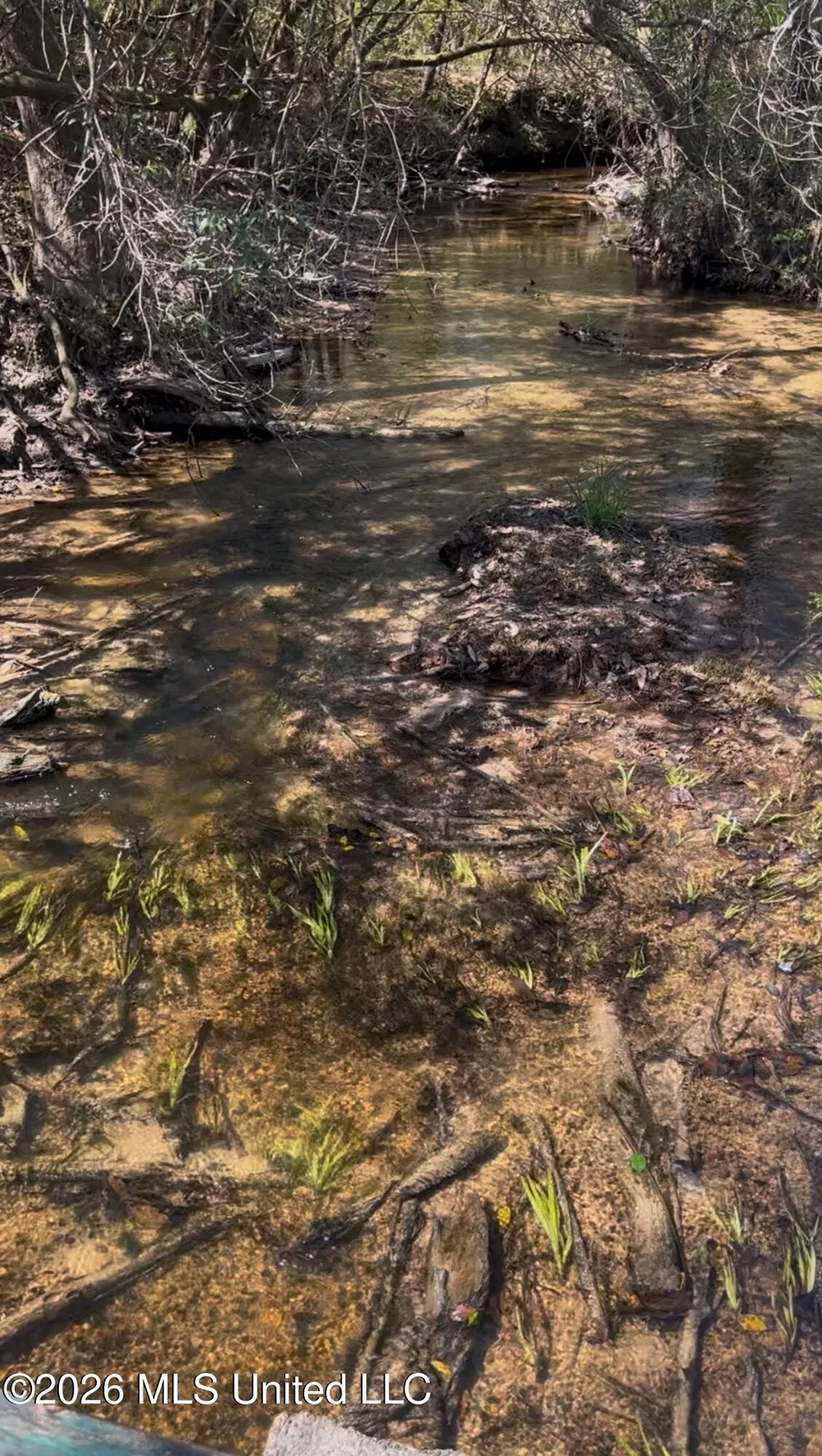 377a Deep Creek Road Wiggins, MS 39577