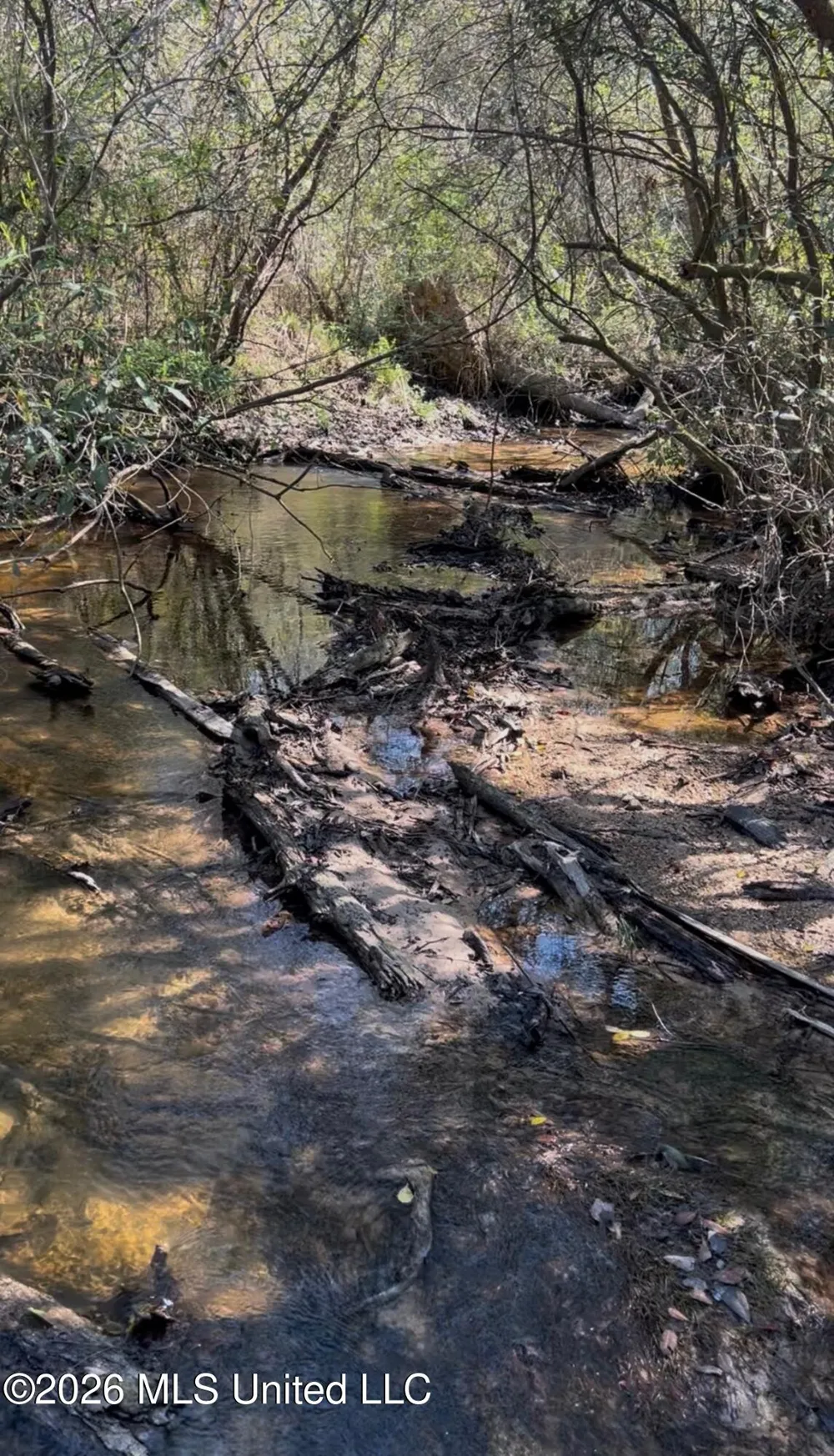 377a Deep Creek Road Wiggins, MS 39577