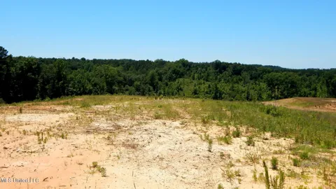 806 Hugh White State Park Road