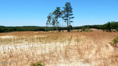 102 Hugh White State Park Road