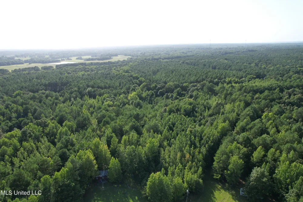 Hwy 32 Oakland, MS 38948