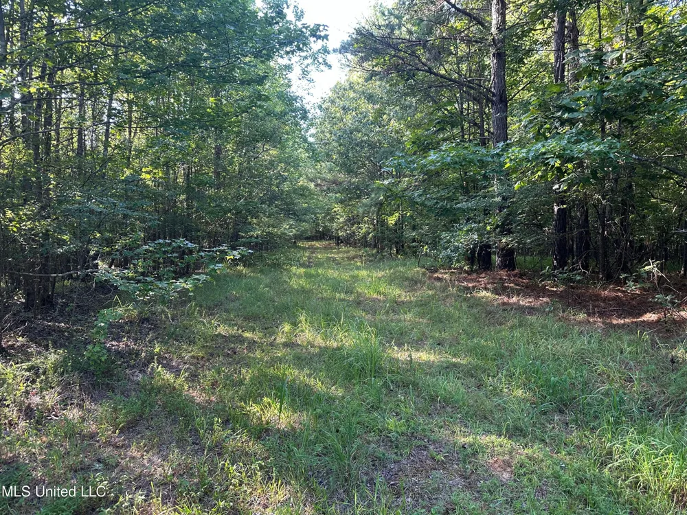 Hwy 32 Oakland, MS 38948