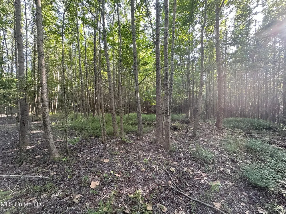 Hwy 32 Oakland, MS 38948