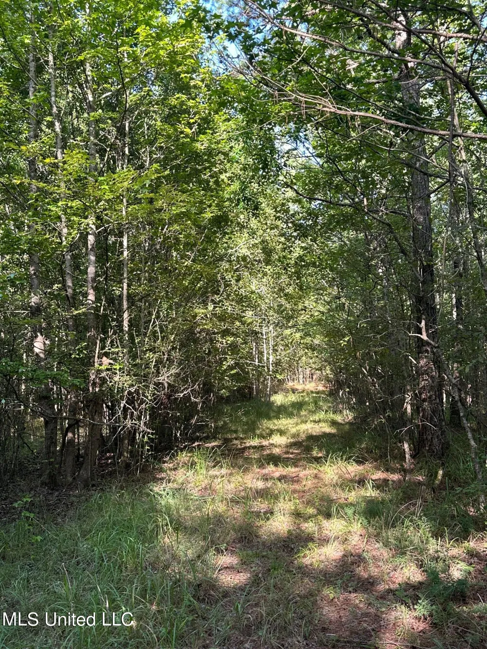 Hwy 32 Oakland, MS 38948