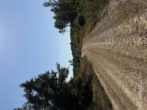 Off Highway 65