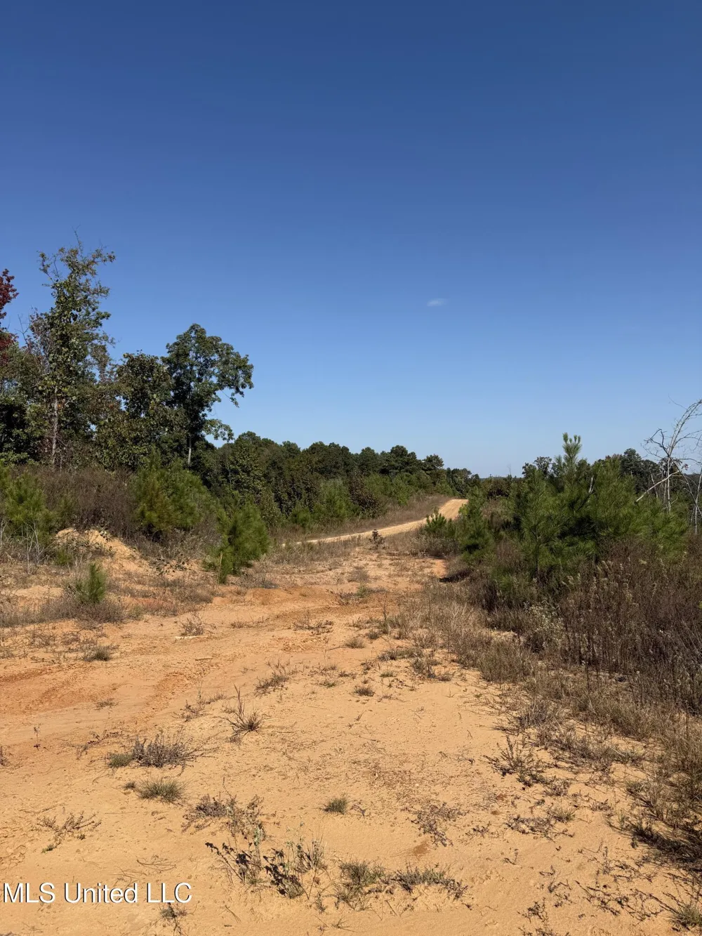 Off Highway 65 Coffeeville, MS 38922
