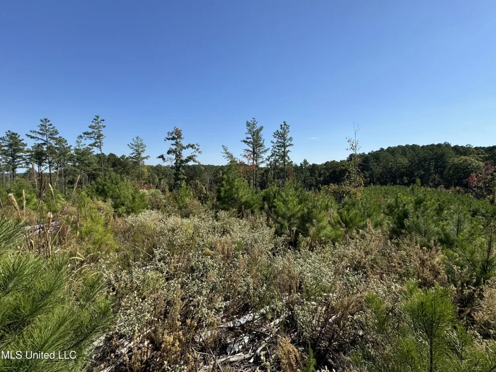 Off Highway 65 Coffeeville, MS 38922