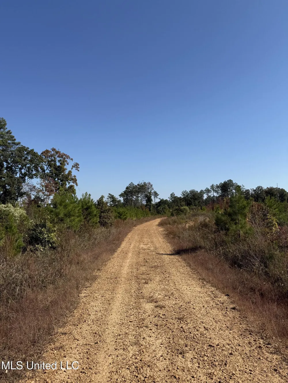 Off Highway 65 Coffeeville, MS 38922