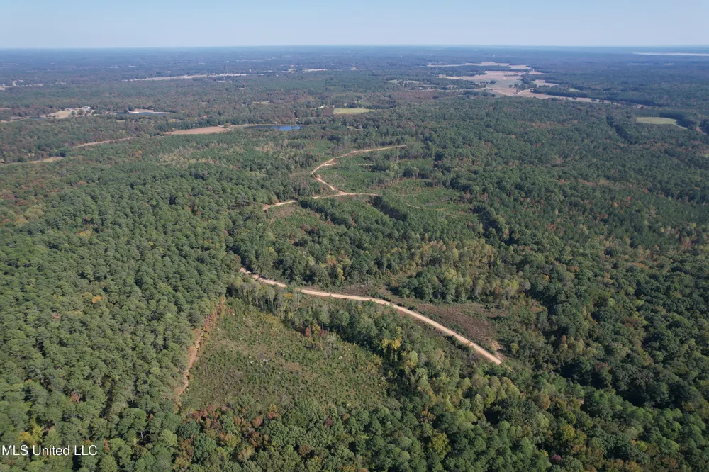 Off Highway 65 Coffeeville, MS 38922
