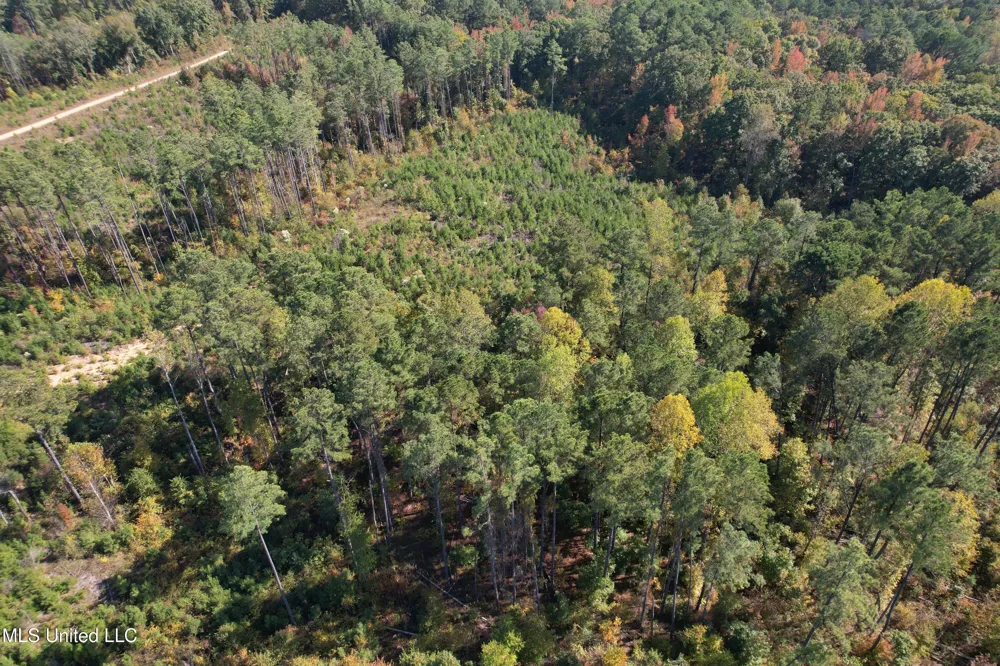 Off Highway 65 Coffeeville, MS 38922