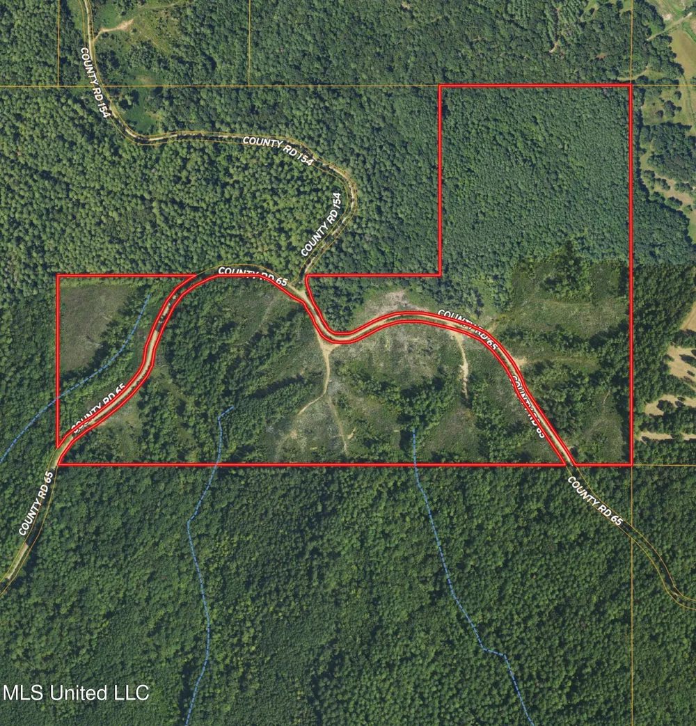 Off Highway 65 Coffeeville, MS 38922