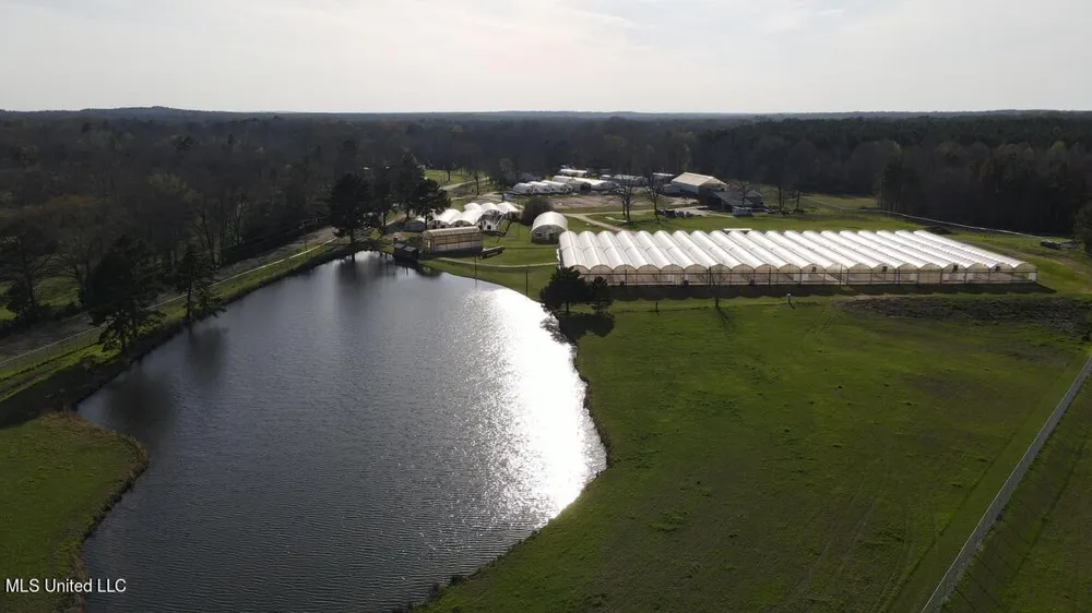 4450 Parsons Road Raymond, MS 39154