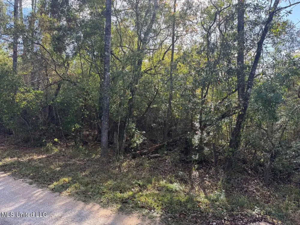 J Bailey Road Wiggins, MS 39577