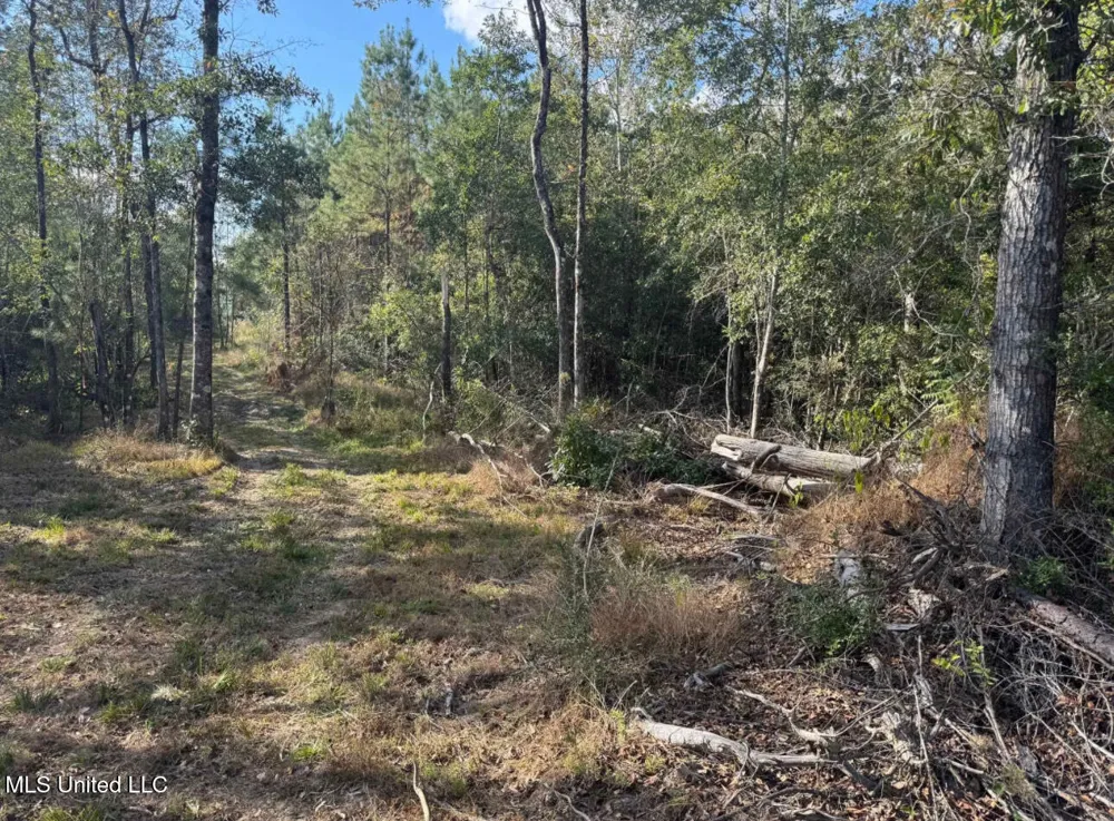 J Bailey Road Wiggins, MS 39577