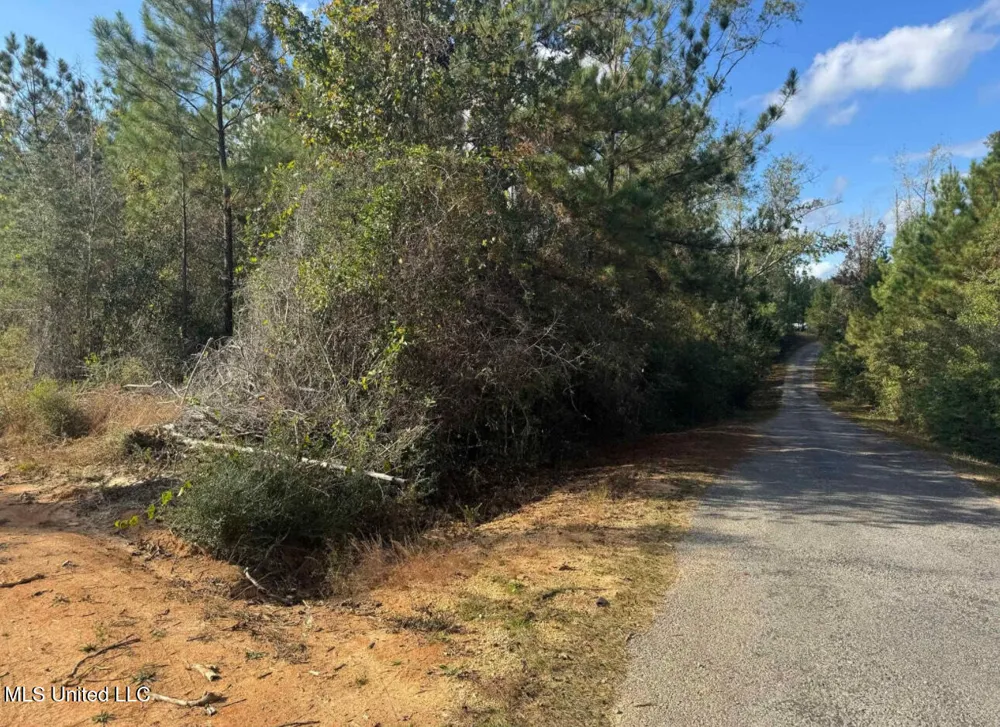 J Bailey Road Wiggins, MS 39577
