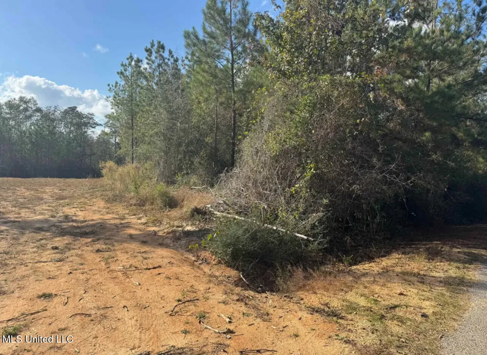 J Bailey Road Wiggins, MS 39577