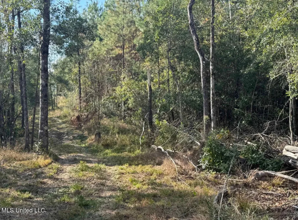 J Bailey Road Wiggins, MS 39577