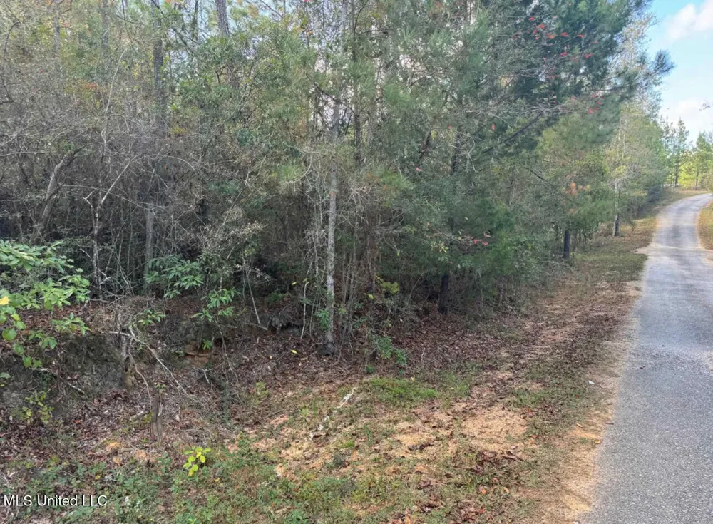 J Bailey Road Wiggins, MS 39577