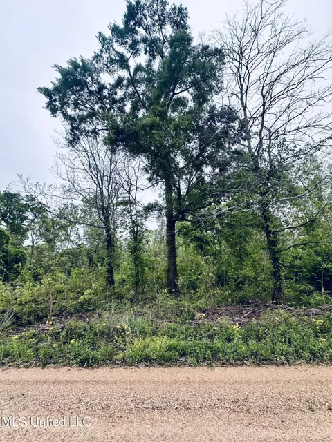 Pecan Grove Road