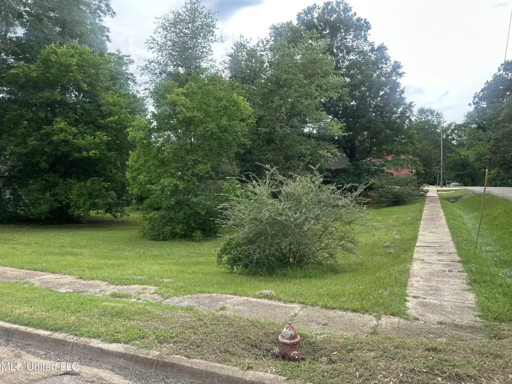East St Street Mendenhall, MS 39114