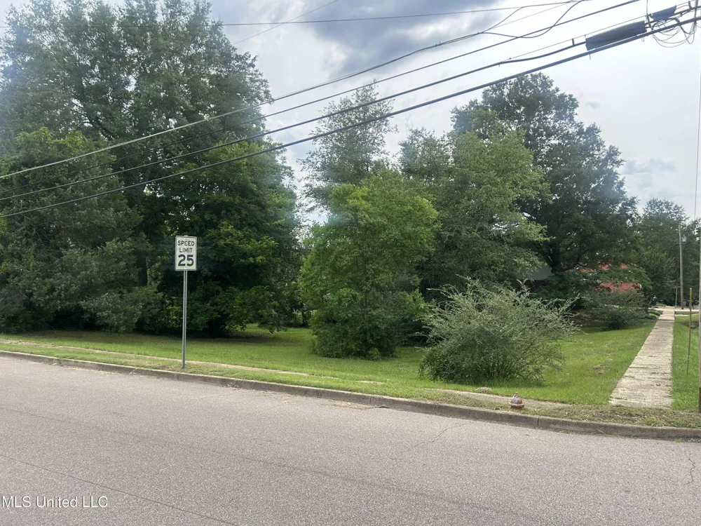 East St Street Mendenhall, MS 39114