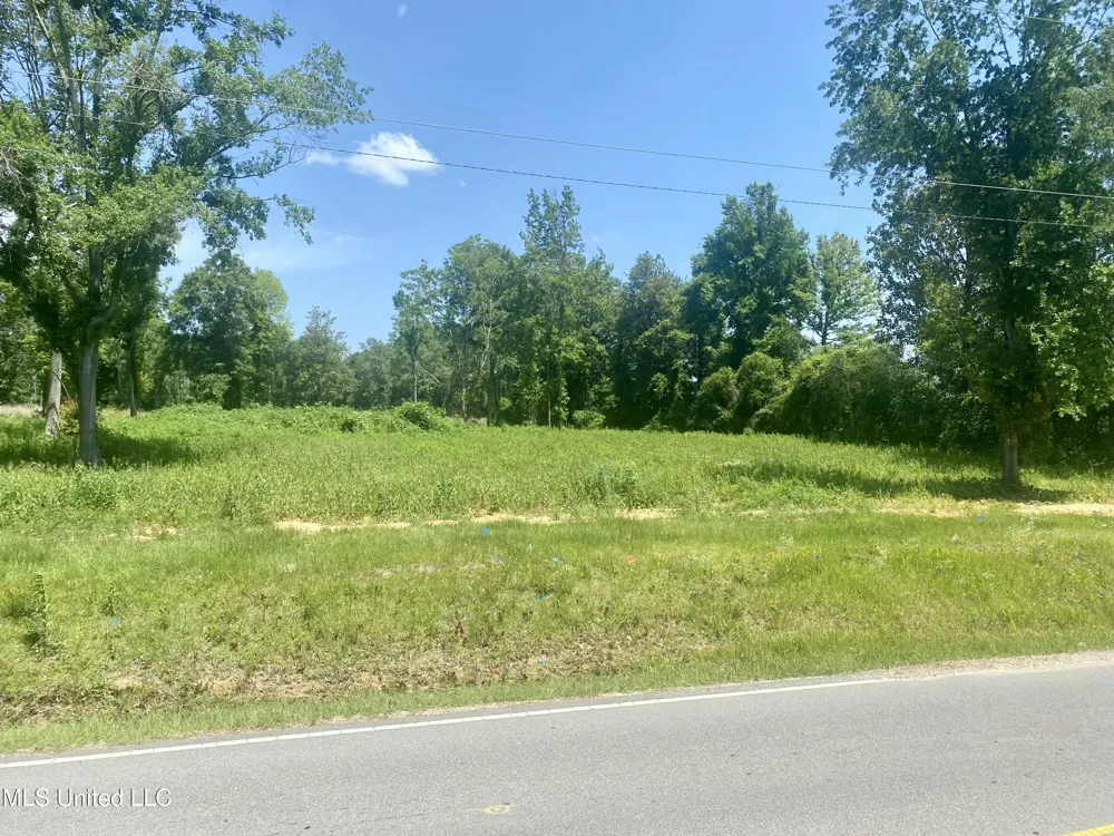 Hall Street Wiggins, MS 39577